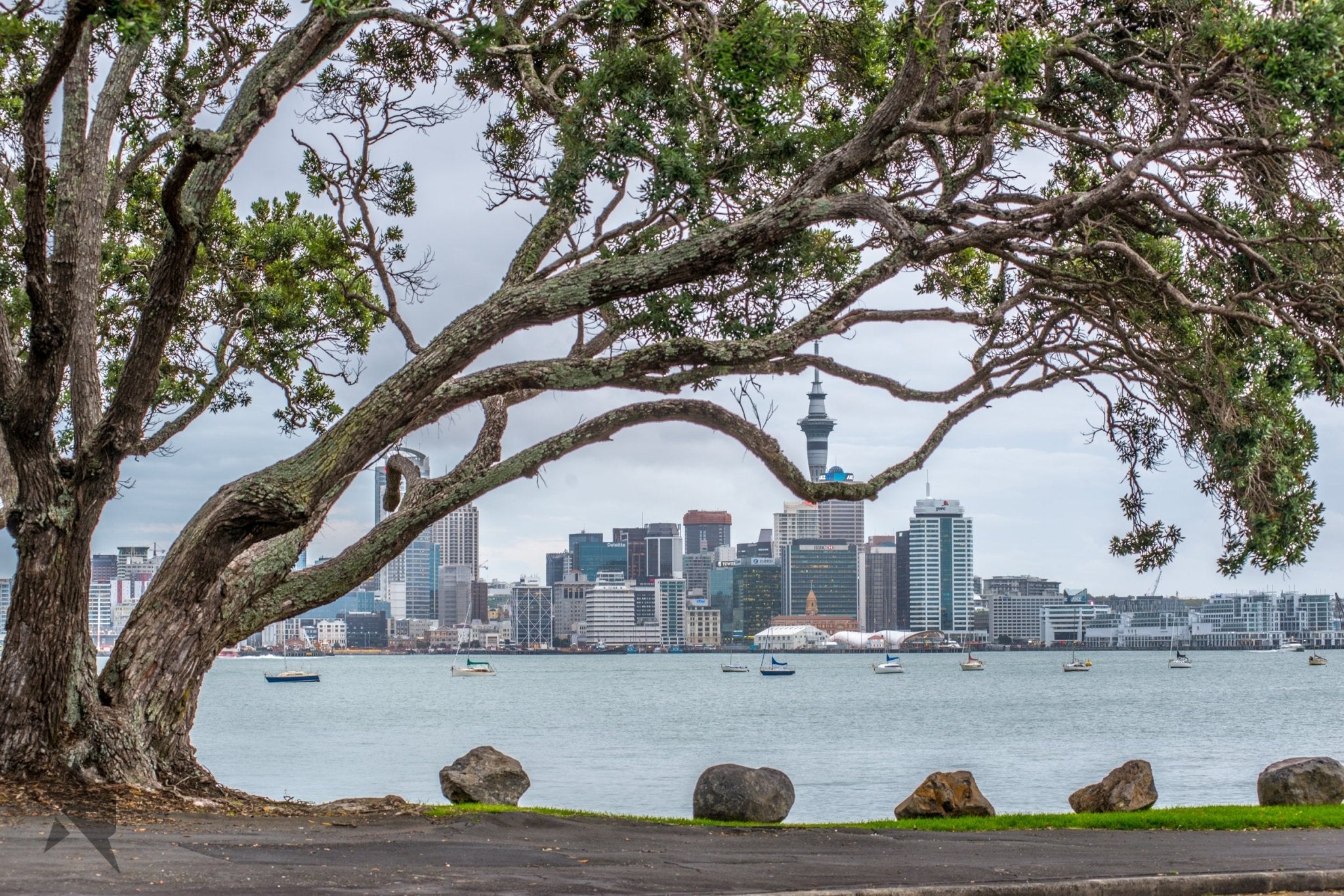Cityscapes Fine art canvas prints - Rolled - Howick frames and gallery