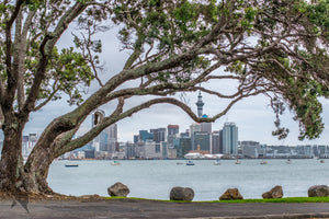 Cityscapes Fine art canvas prints - Rolled - Howick frames and gallery