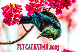 Tui calendar 2023 - Howick frames and gallery